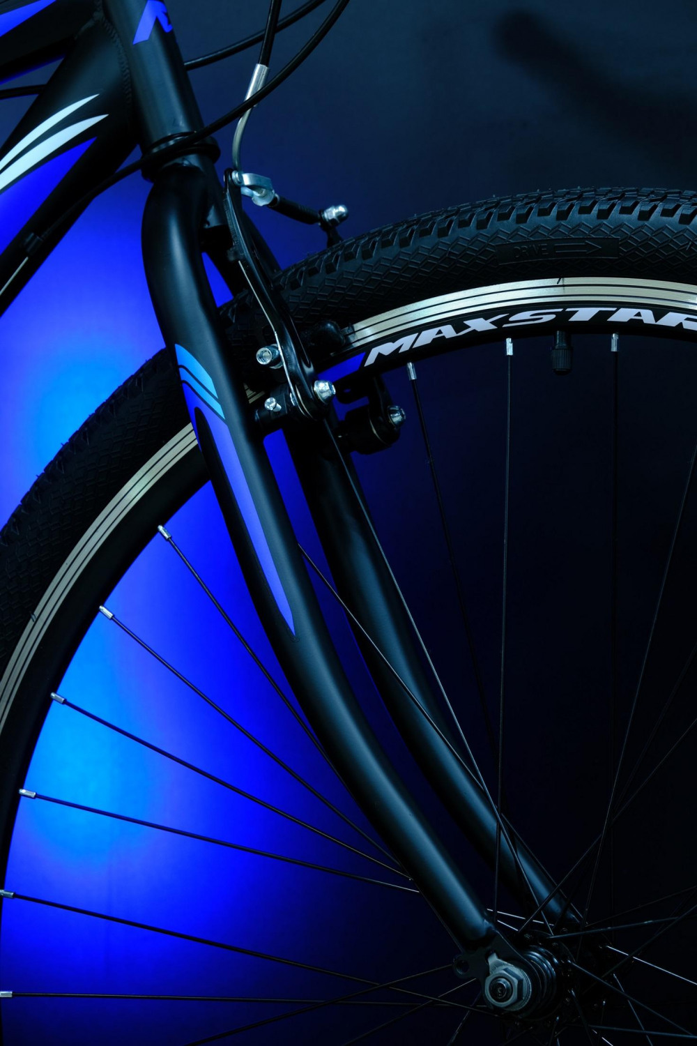 MAXSTAR Rigid 29 Чёрный/Синий